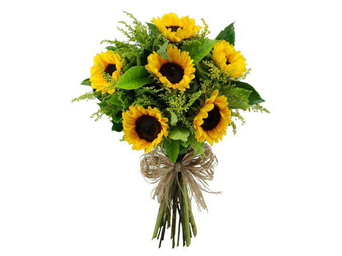 Helianthus