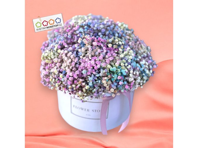 vyr 234 image e1b1071e fd58 4651 8cf2 0a12a8a42802 501800 1024x1024 Photoroom