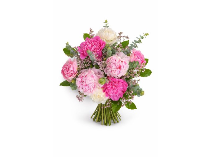 WhatsApp Image 2026 02 12 at 13.03.00