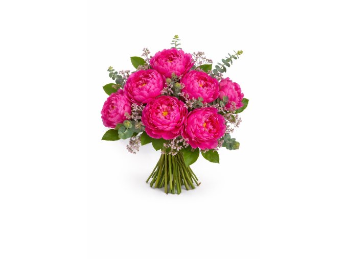 WhatsApp Image 2026 02 12 at 13.03.01 (1)