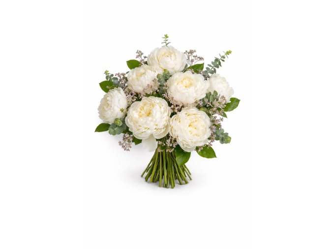 WhatsApp Image 2026 02 12 at 13.03.01