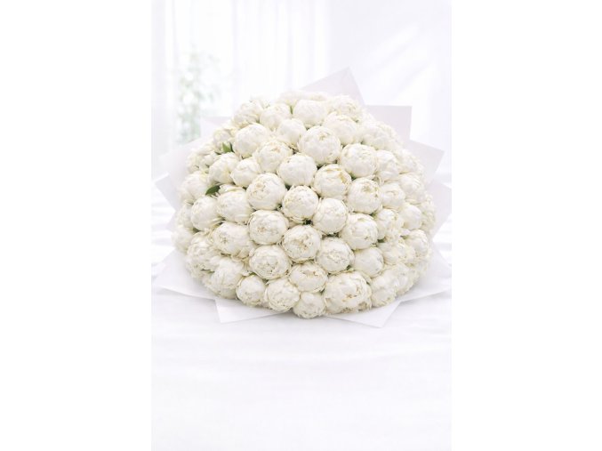 WhatsApp Image 2026 02 12 at 13.03.01 (3)