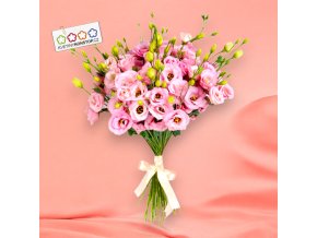 Eustoma růžová Photoroom