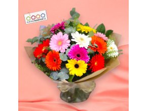 13x gerbera mix Photoroom