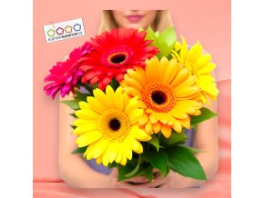 image user176582 1731859267 Photoroom