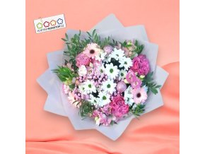Obrázek WhatsApp, 2024 12 07 v 12.14.49 52bacc4d Photoroom