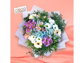 Obrázek WhatsApp, 2024 12 06 v 18.49.34 02a039ce Photoroom