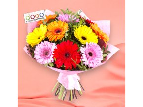 Gerbera, pistacie, manžeta Photoroom