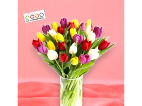 Tulipánová mix 15 ks