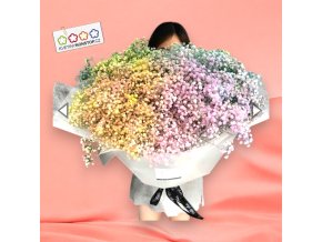 25x Gypsophila mix v manžetě