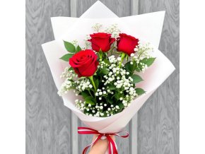 vyr 165 3x ruze cervena s gypsou v manzete