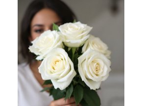 vyr 167 5x bila ruze