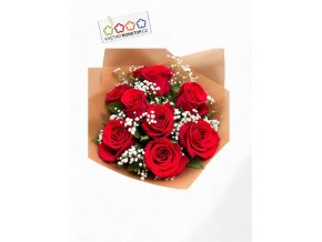 vyr 178 9x s gypsoou cervena Photoroom