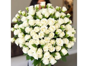 vyr 200 100ks bilych holandskych ruzi