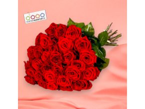 vyr 205 Alexandr Photoroom