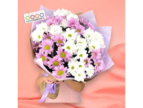 vyr 212 7x chrysantema v manzete Photoroom