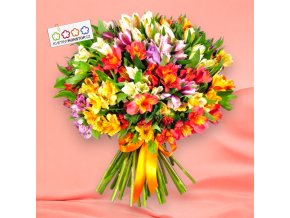 vyr 219 Lastromerie mix Photoroom