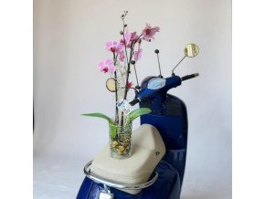 Orchidej "Růžová elegance" v designové skleněné váze