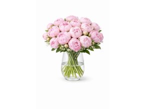 WhatsApp Image 2026 02 12 at 13.49.51 (2)