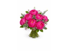 WhatsApp Image 2026 02 12 at 13.03.01 (1)