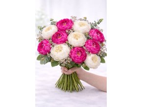 WhatsApp Image 2026 02 12 at 13.35.19