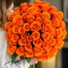 65x oranžová