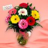 11x gerbera, izrael, rumora Photoroom