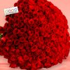 20180930104603 file 5bb1522beab38 Photoroom