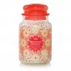 VONNÁ SVÍČKA YANKEE CANDLE DISCOVERY CLASSIC VELKÝ