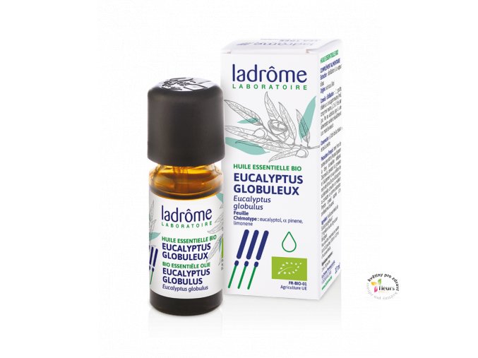 HE EucalyptusGlobuleux 10ml FR 700x883