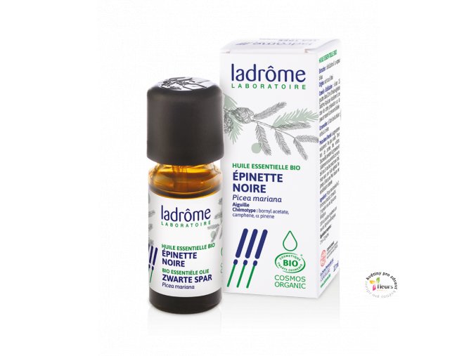 HE EpinetteNoire 10ml FR 700x883