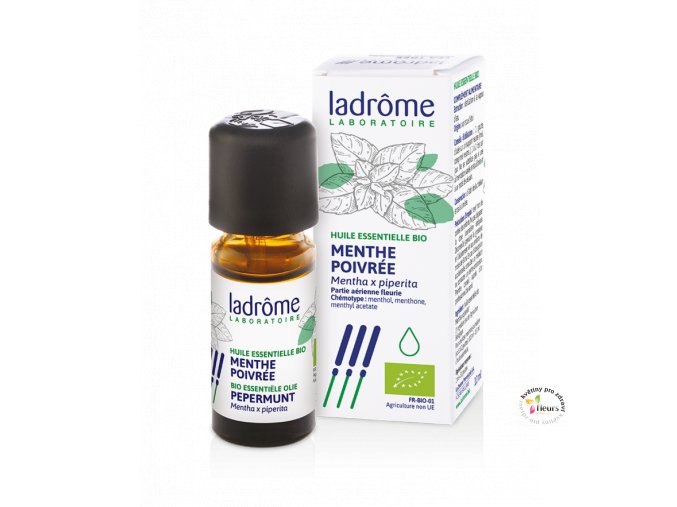 HE MenthePoivree 10ml FR 700x883
