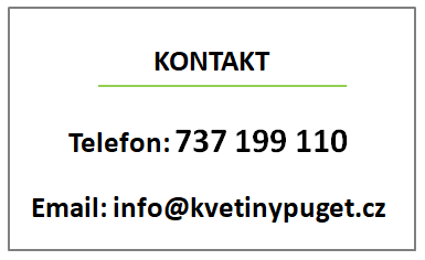 Kontakt