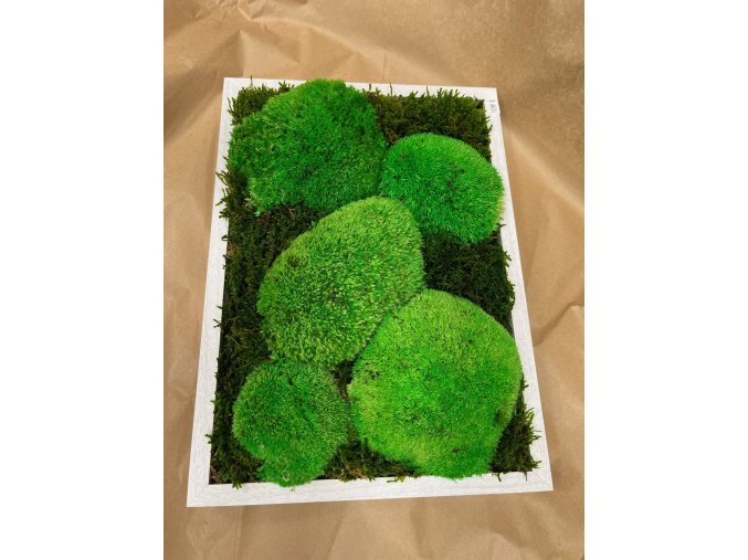 image1 (6)