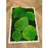 image1 (6)
