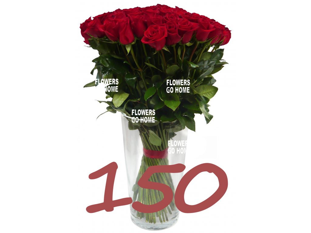 150 růží