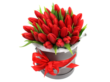 Červené tulipány