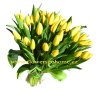 Kytice žlutých tulipánů