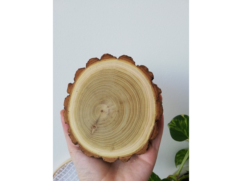 Akát cca 11 cm, výška cca 1,5 cm