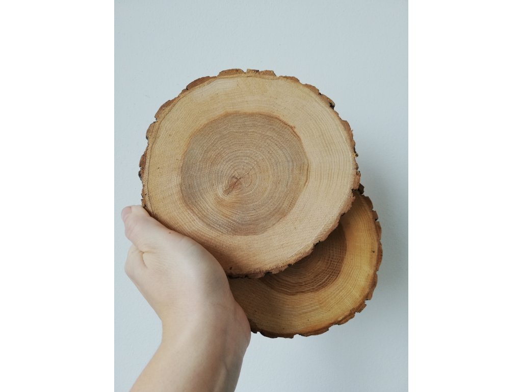 Dřevěná kulatina JILM cca 15 cm, výška 2 cm (SADA 2 KUSY)