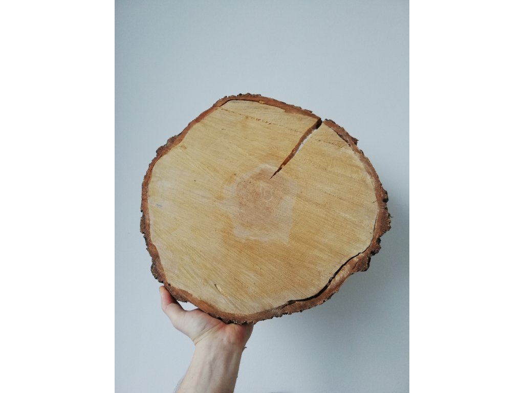 Dřevěná kulatina BŘÍZA cca 37x33 cm, výška cca 3,5 cm