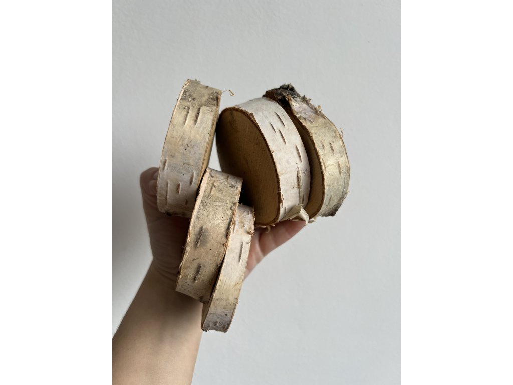 Bříza cca 8-10 cm, výška cca 2 cm