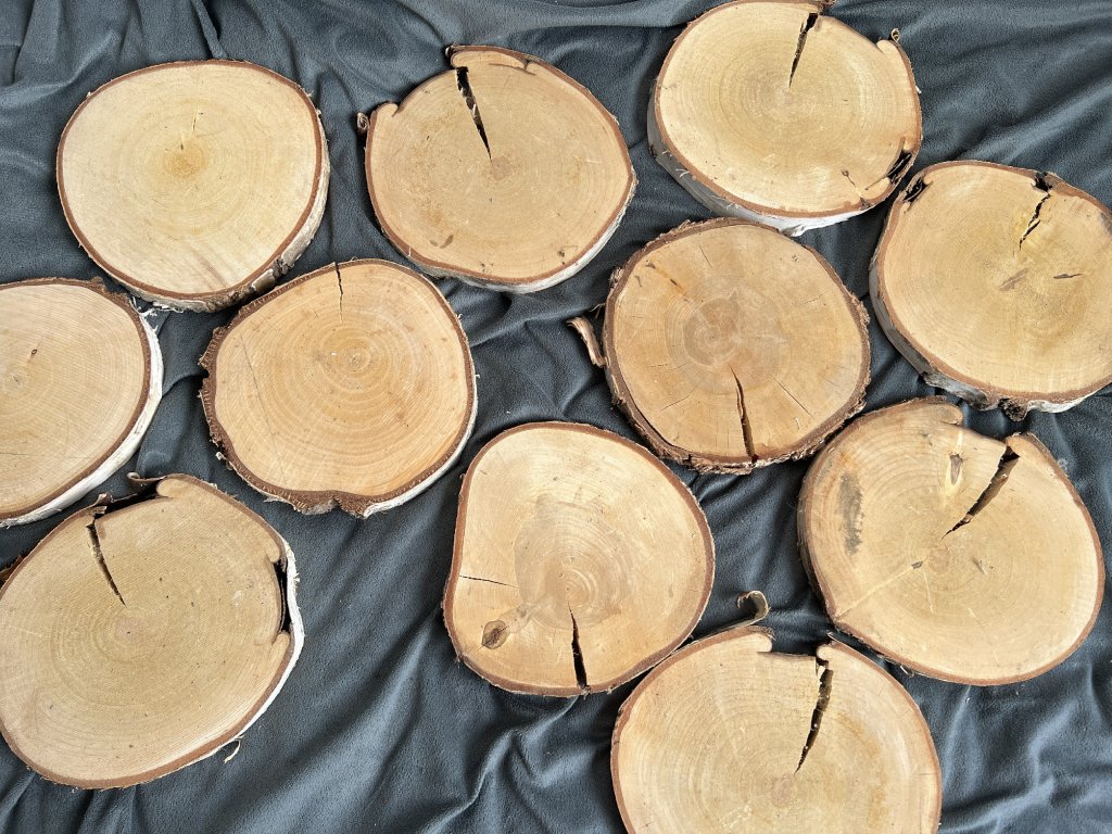 Bříza kulatiny mix 20x19 cm