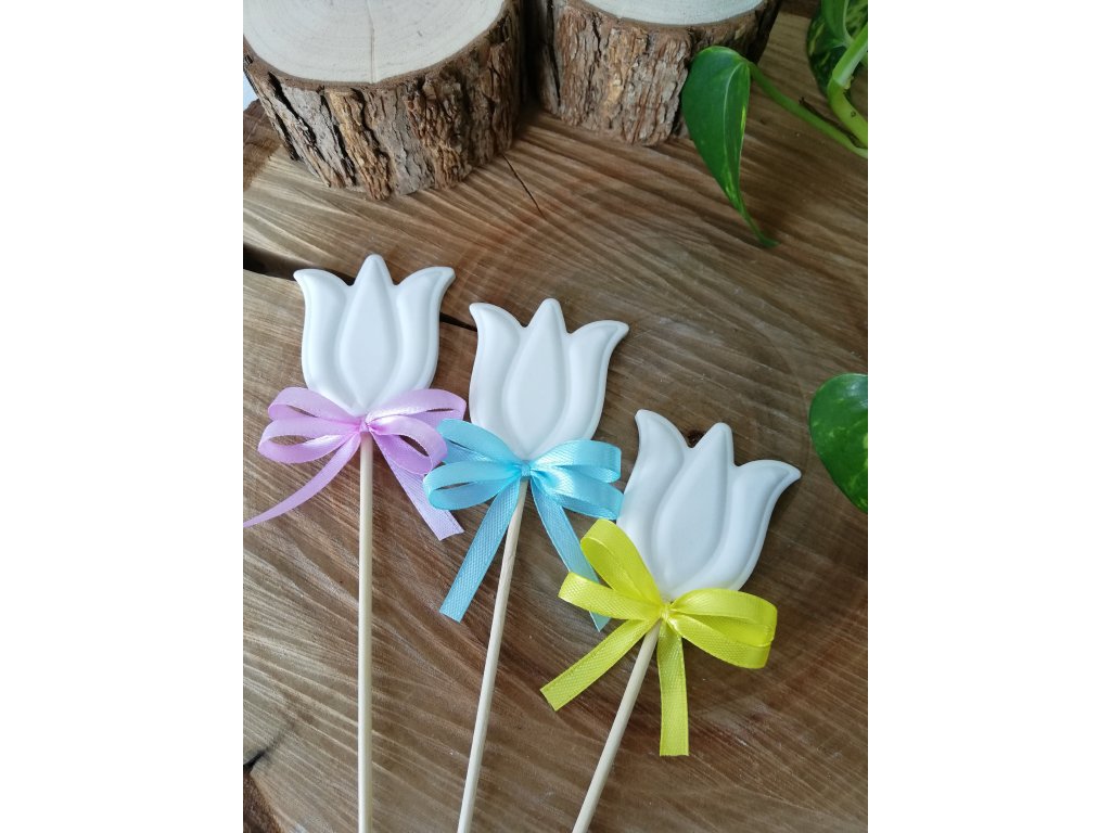 6435 tulipan zapich s barevnou maslickou 3