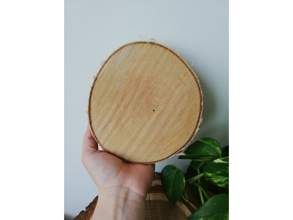 Dřevěná kulatina BŘÍZA cca 15 cm, výška cca 3 cm
