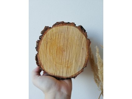 Dřevěná kulatina BŘÍZA hrubá kůra cca 15 cm, výška cca 2,5 cm