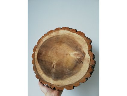 Dřevěná kulatina TOPOL cca 33 cm, výška cca 4 cm