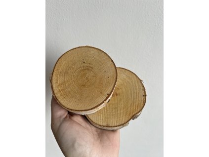Bříza cca 6-9 cm, výška cca 2 cm