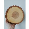 Dřevěná kulatina TOPOL cca 20 cm, výška 2 cm