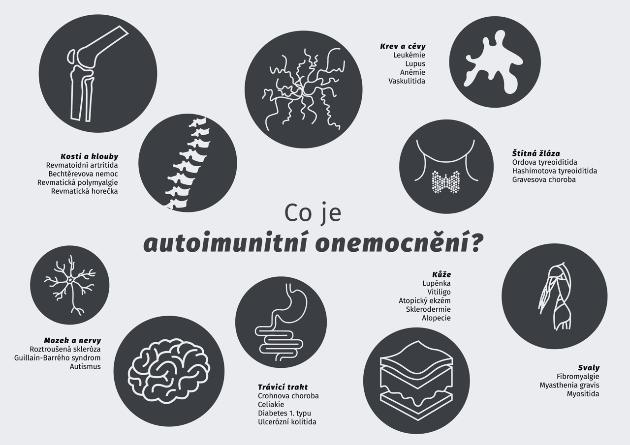 Co je Autoimunitní onemocnění a Autoimunitní protokol (AIP)